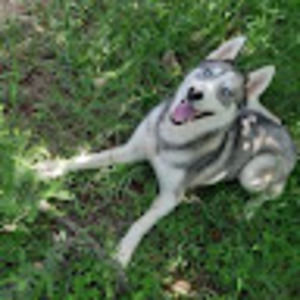 Meet your Posher, Abraham